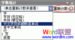 Word2003怎么样统计字数、行数和符