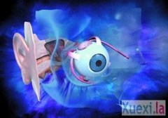 �����Ķ��еġ�